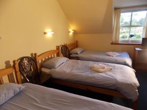 Hotel Photos