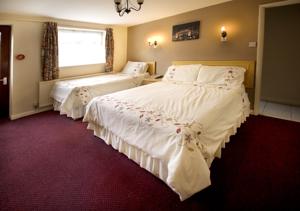 Hotel Photos