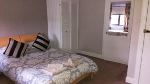 Hotel Photos