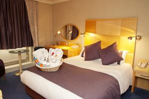 Hotel Photos
