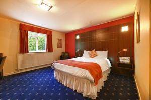 Hotel Photos