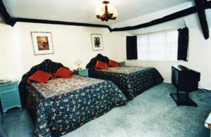 Hotel Photos