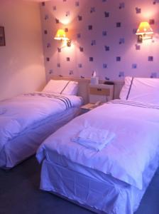Hotel Photos