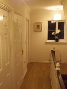 Hotel Photos