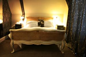 Hotel Photos