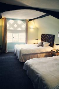 Hotel Photos