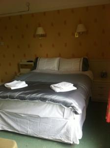 Hotel Photos
