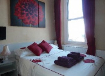 Hotel Photos