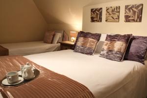 Hotel Photos