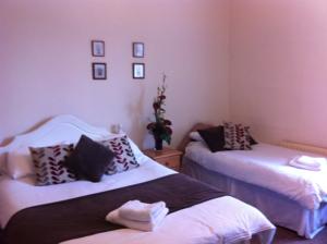 Hotel Photos