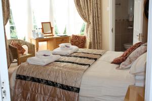 Hotel Photos