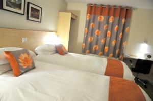 Hotel Photos