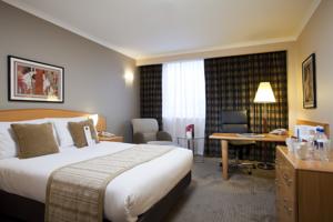 Hotel Photos