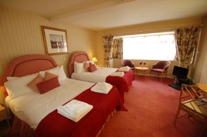 Hotel Photos