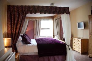 Hotel Photos