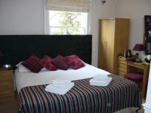 Hotel Photos