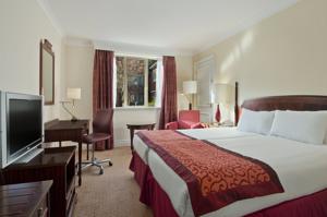 Hotel Photos