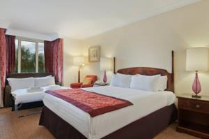 Hotel Photos