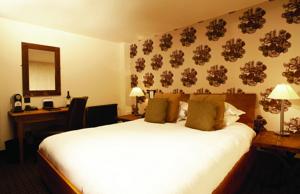 Hotel Photos