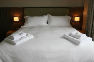 Hotel Photos