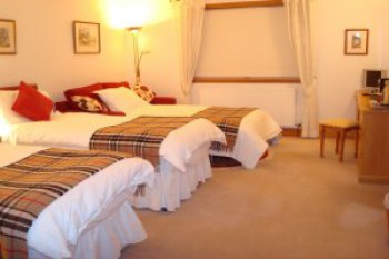 Hotel Photos
