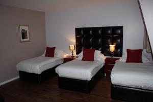 Hotel Photos