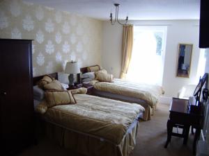 Hotel Photos