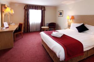 Hotel Photos