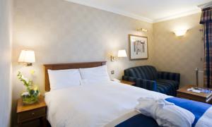 Hotel Photos
