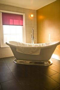 Hotel Photos