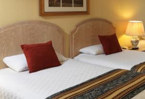 Hotel Photos