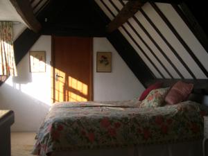 Hotel Photos
