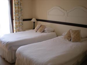 Hotel Photos