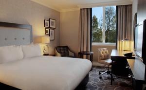 Hotel Photos