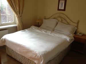 Hotel Photos