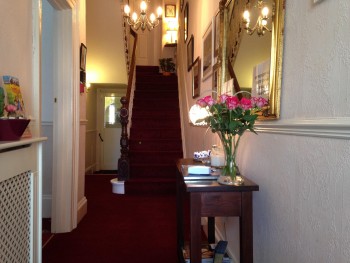 Hotel Photos